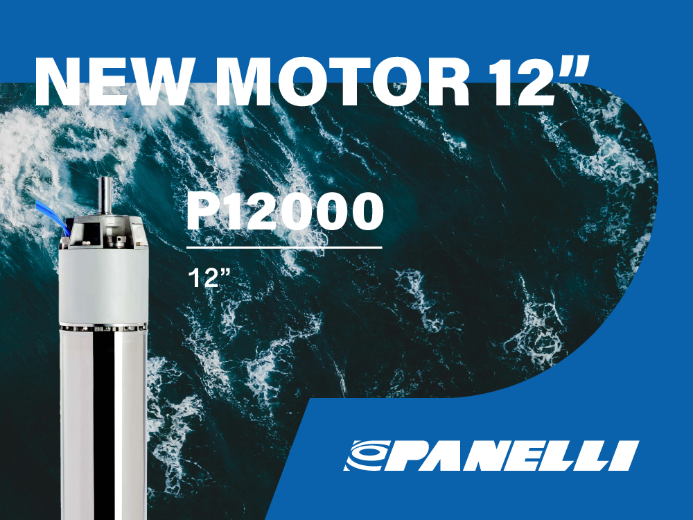 Product: submersible motors - the new 12 inches series